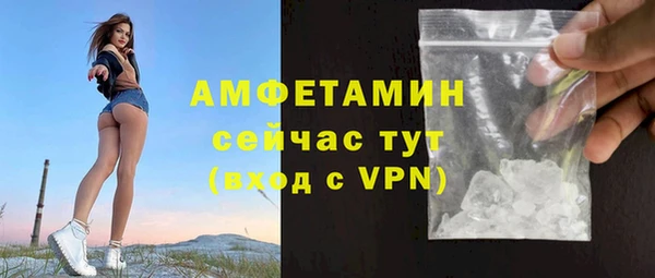 шишки Белокуриха