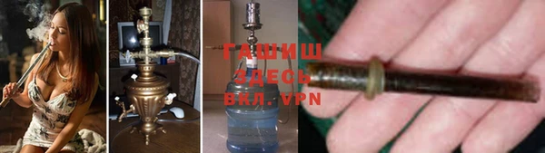 шишки Белокуриха